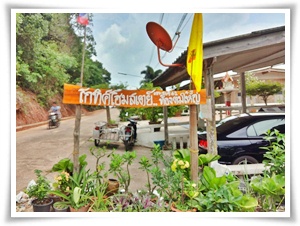 ท้องตมใหญ่